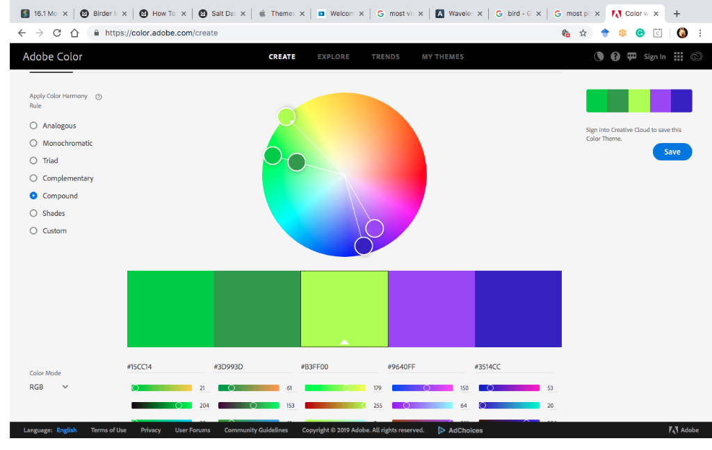 Low-light, high-contrast palette