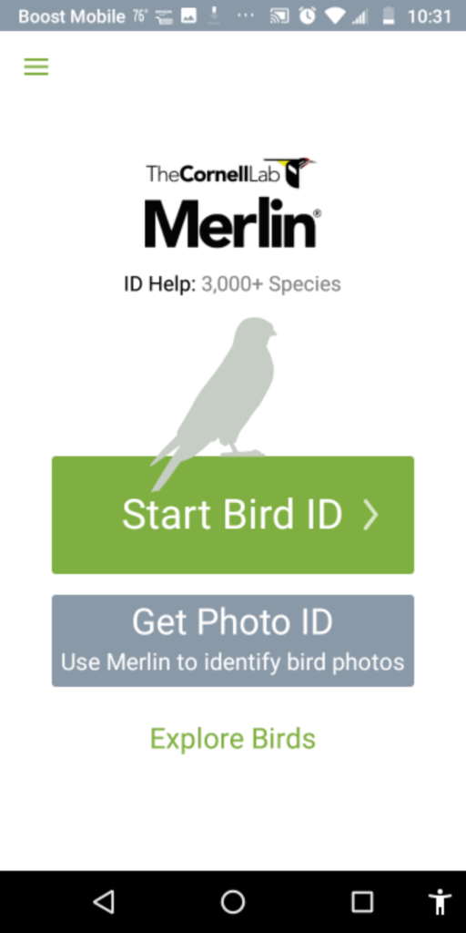 Heuristic evaluation of Merlin Bird ID