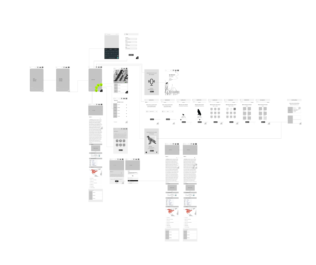 Birder — system artefact