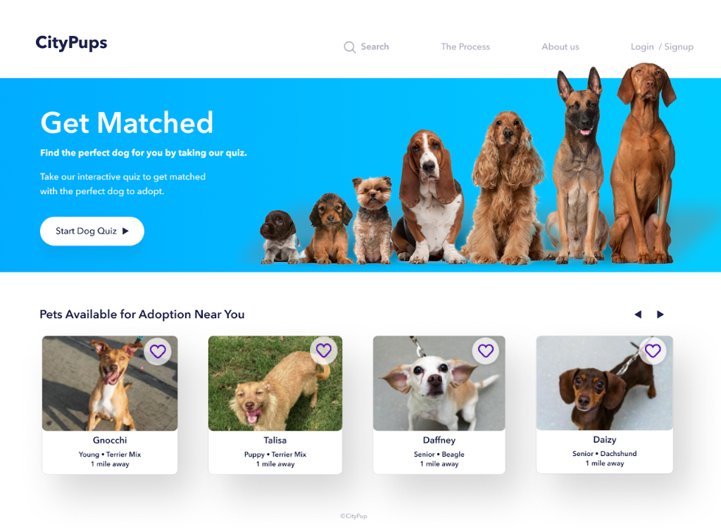 Hi-fi prototype — adoption details