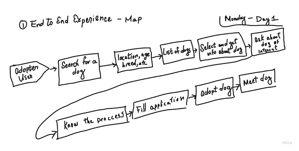Demystify the adoption path
